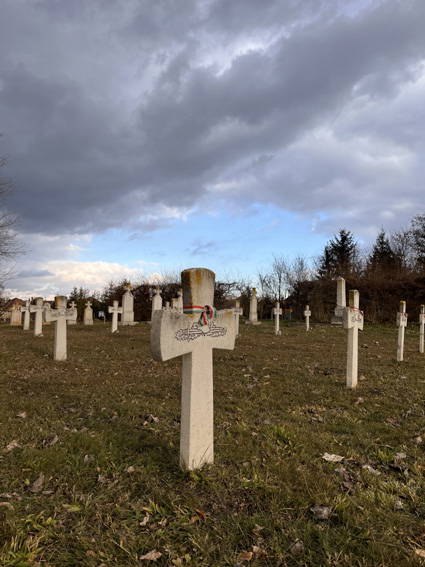 View larger image View larger image