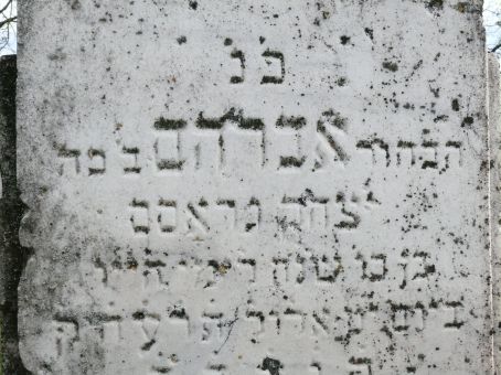 View larger image View larger image