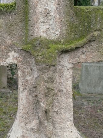 View larger image View larger image