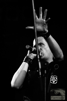 View larger image View larger image