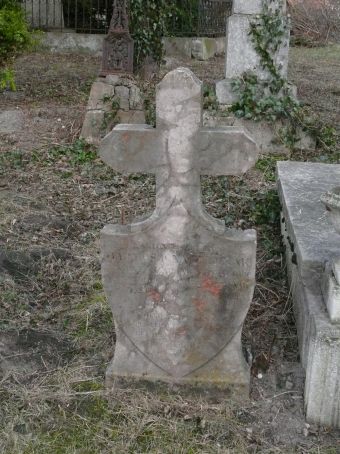 View larger image View larger image