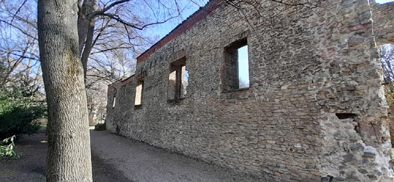 View larger image View larger image