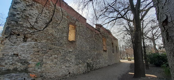 View larger image View larger image