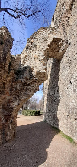 View larger image View larger image