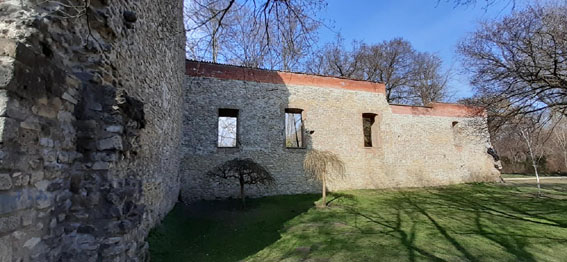 View larger image View larger image