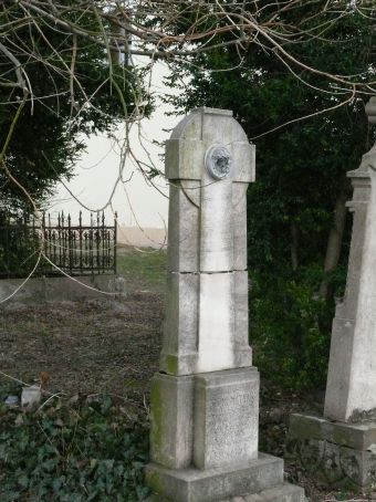 View larger image View larger image