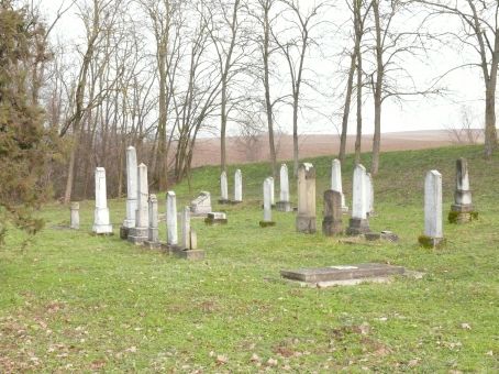 View larger image View larger image