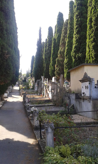 View larger image View larger image