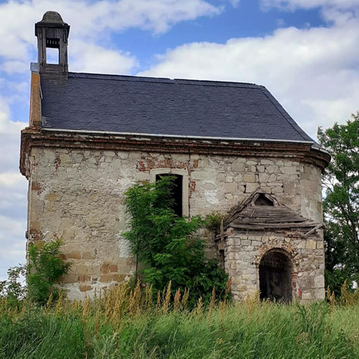 View larger image View larger image