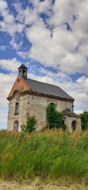 View larger image View larger image