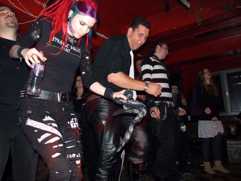 View larger image View larger image