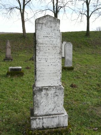 View larger image View larger image