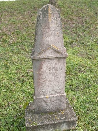 View larger image View larger image