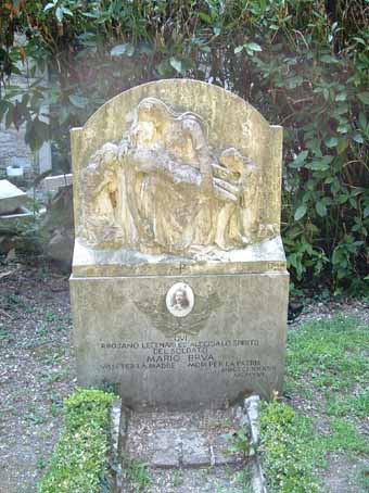 View larger image View larger image