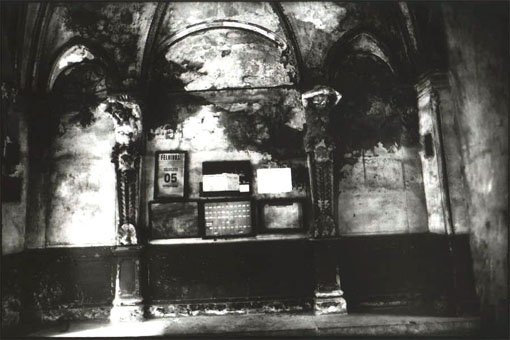 View larger image View larger image