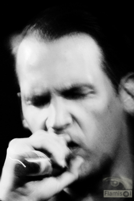 View larger image View larger image