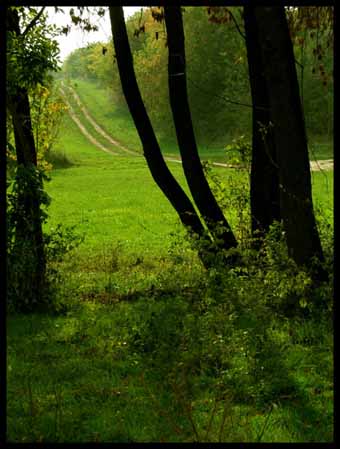 View larger image View larger image