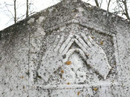 View larger image View larger image