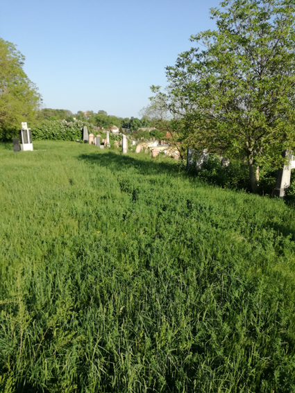 View larger image View larger image