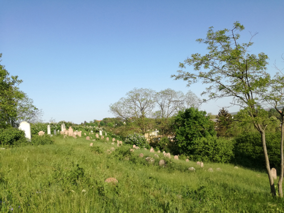 View larger image View larger image