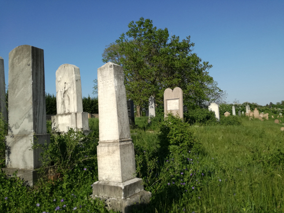 View larger image View larger image