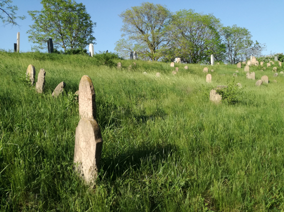 View larger image View larger image