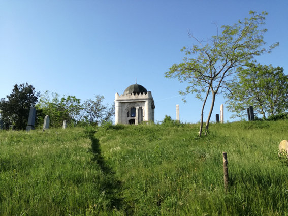 View larger image View larger image