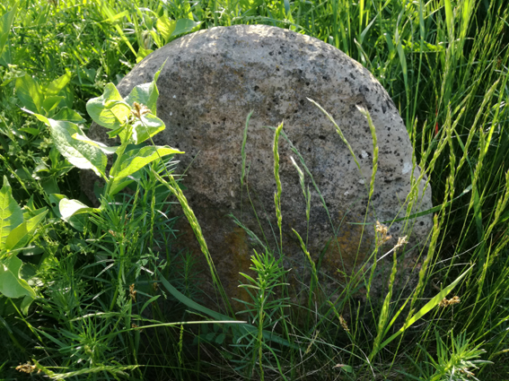 View larger image View larger image