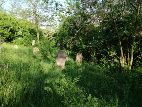 View larger image View larger image