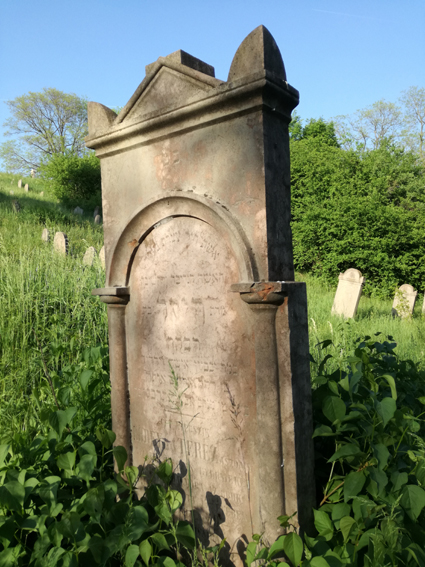 View larger image View larger image