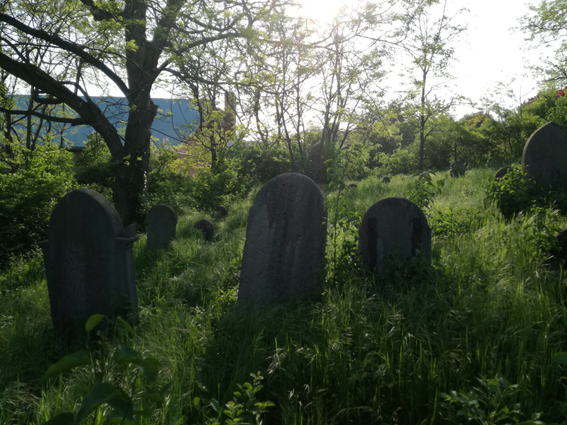 View larger image View larger image