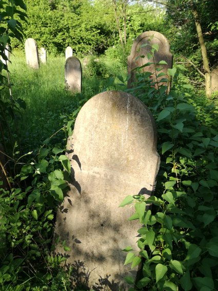 View larger image View larger image