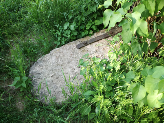 View larger image View larger image