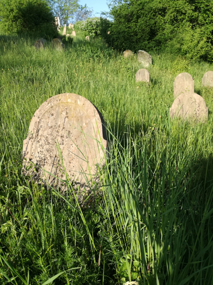 View larger image View larger image