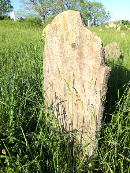 View larger image View larger image