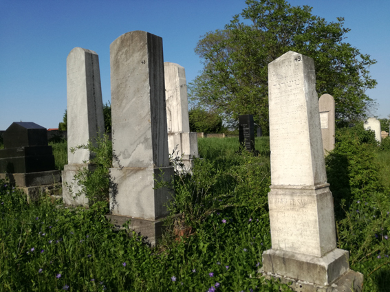 View larger image View larger image