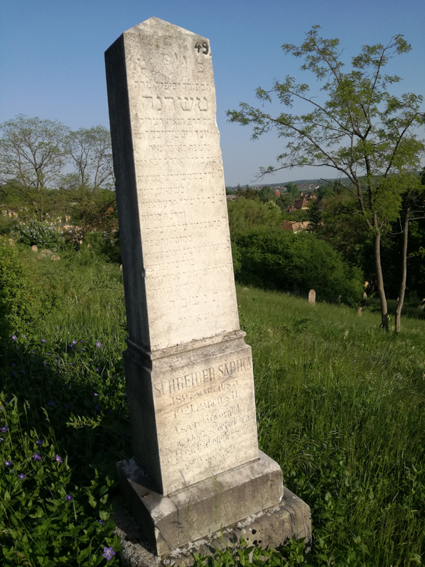 View larger image View larger image