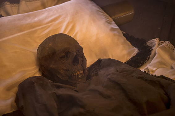 View larger image View larger image