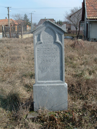 View larger image View larger image