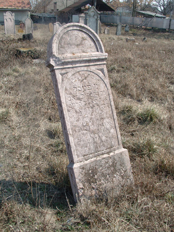 View larger image View larger image