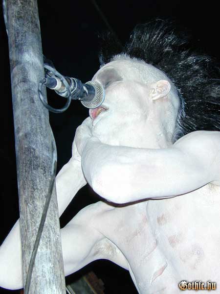 View larger image View larger image