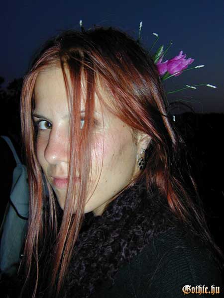 View larger image View larger image