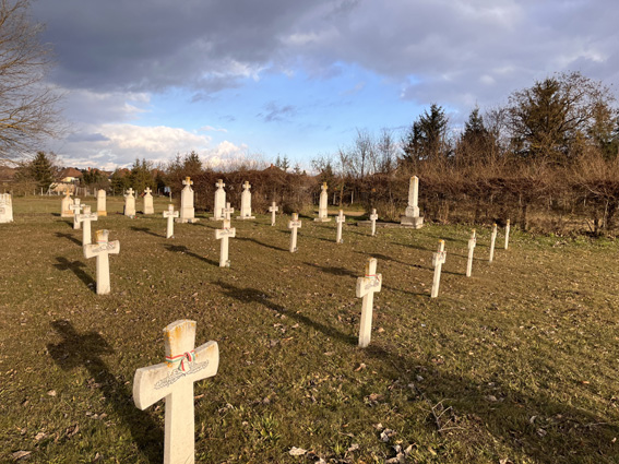 View larger image View larger image