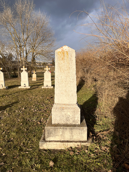 View larger image View larger image