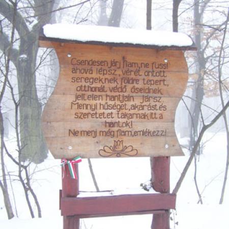 View larger image
