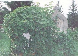 View larger image View larger image