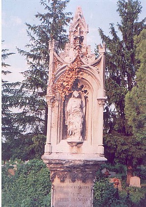 View larger image View larger image