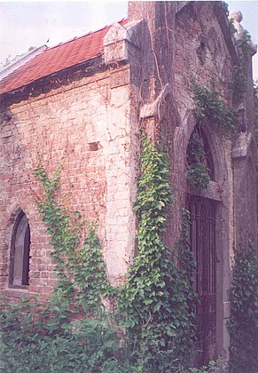 View larger image View larger image