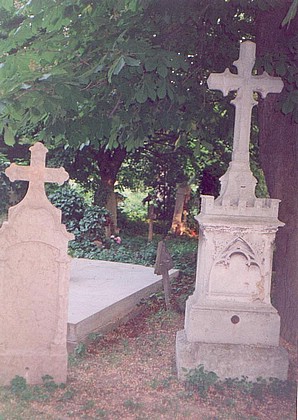 View larger image View larger image