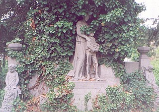 View larger image View larger image